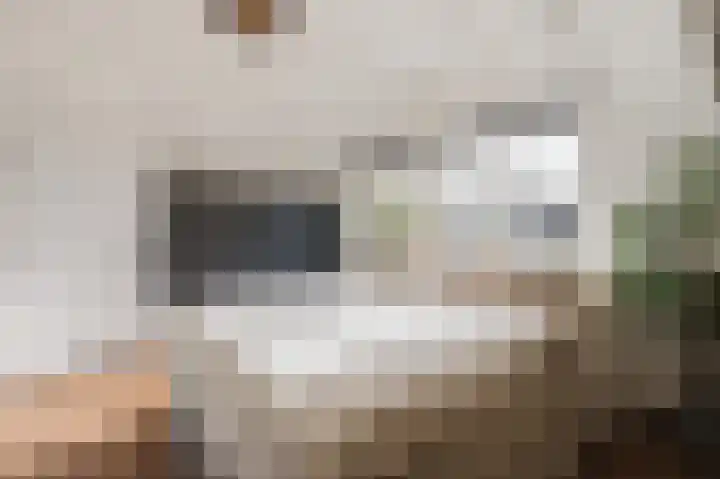 De Poelsnip 24 Zaandam thumbnail 19