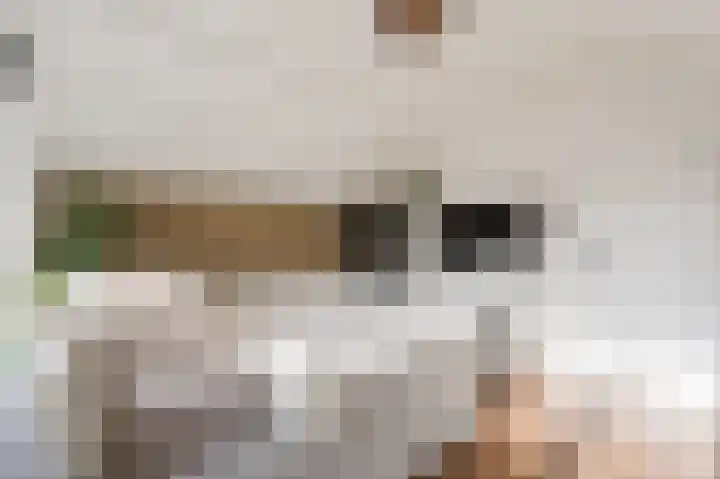 De Poelsnip 24 Zaandam thumbnail 20