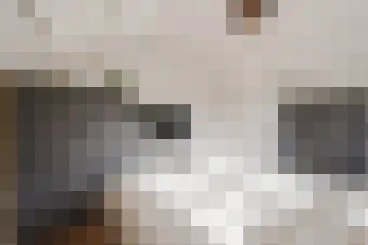 De Poelsnip 24 Zaandam thumbnail 21