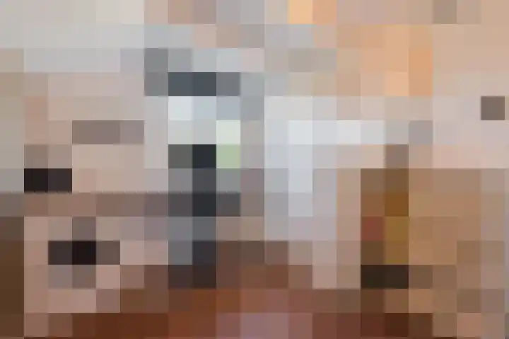 De Poelsnip 24 Zaandam thumbnail 23