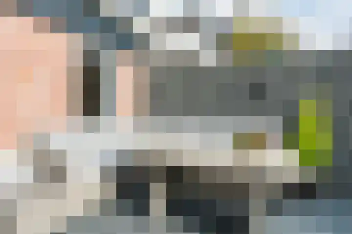 De Poelsnip 24 Zaandam thumbnail 25