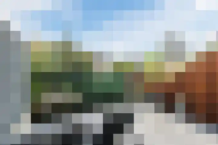 De Poelsnip 24 Zaandam thumbnail 26