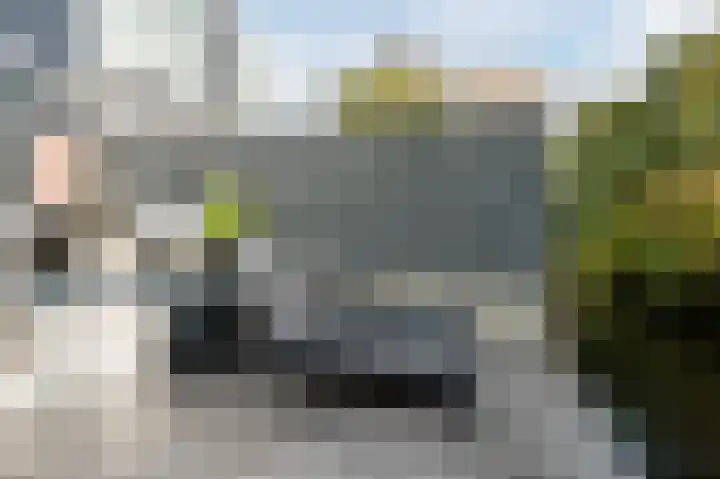 De Poelsnip 24 Zaandam thumbnail 27