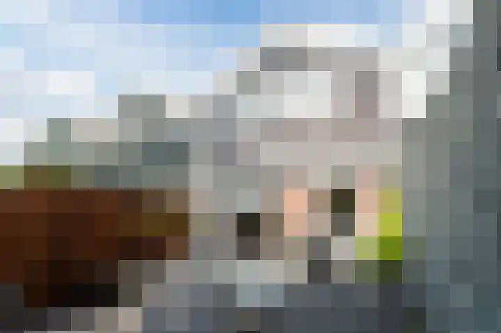 De Poelsnip 24 Zaandam thumbnail 29