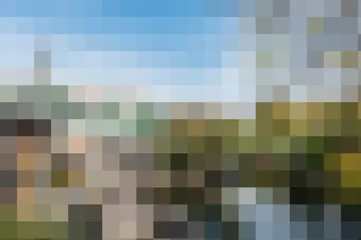 De Poelsnip 24 Zaandam thumbnail 30