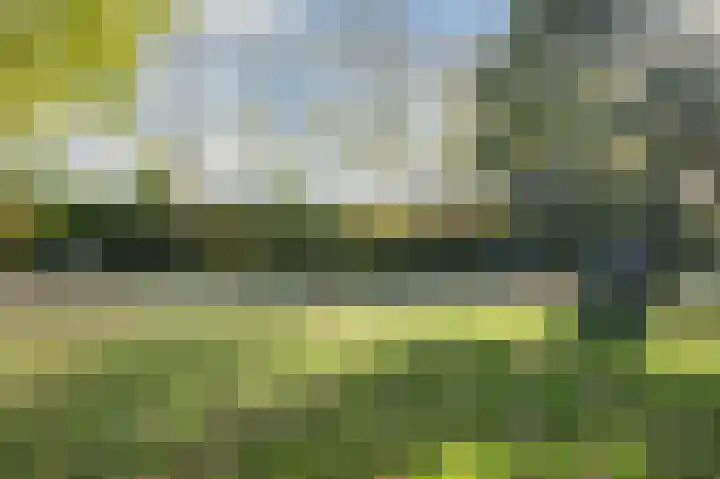 De Poelsnip 24 Zaandam thumbnail 35