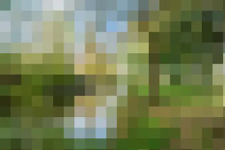 De Poelsnip 24 Zaandam thumbnail 36