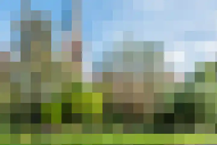 De Poelsnip 24 Zaandam thumbnail 37