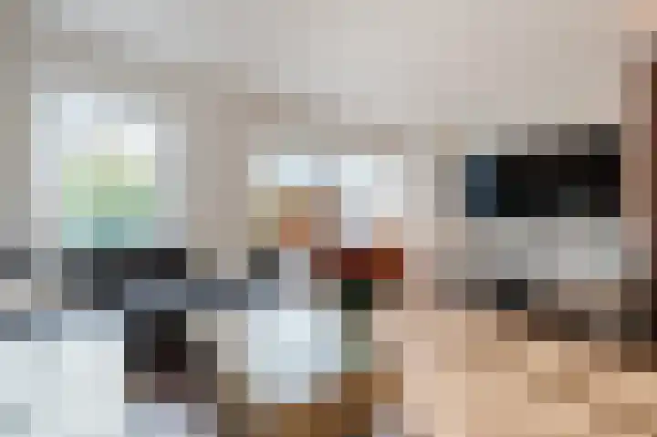 De Poelsnip 24 Zaandam thumbnail 5