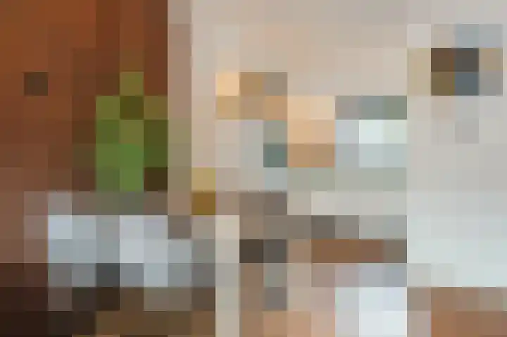 De Poelsnip 24 Zaandam thumbnail 9