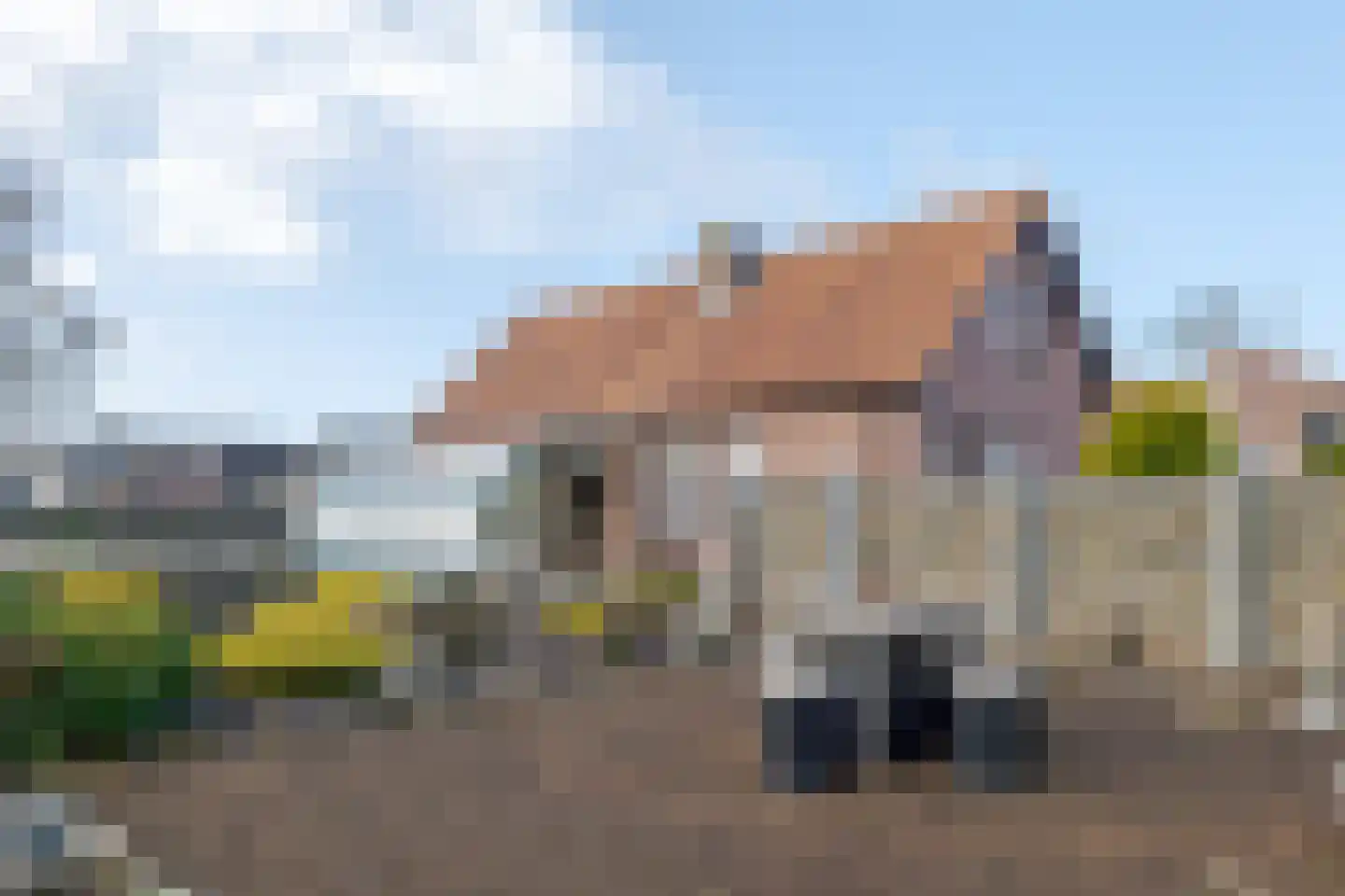 de Pol 1 in Peize