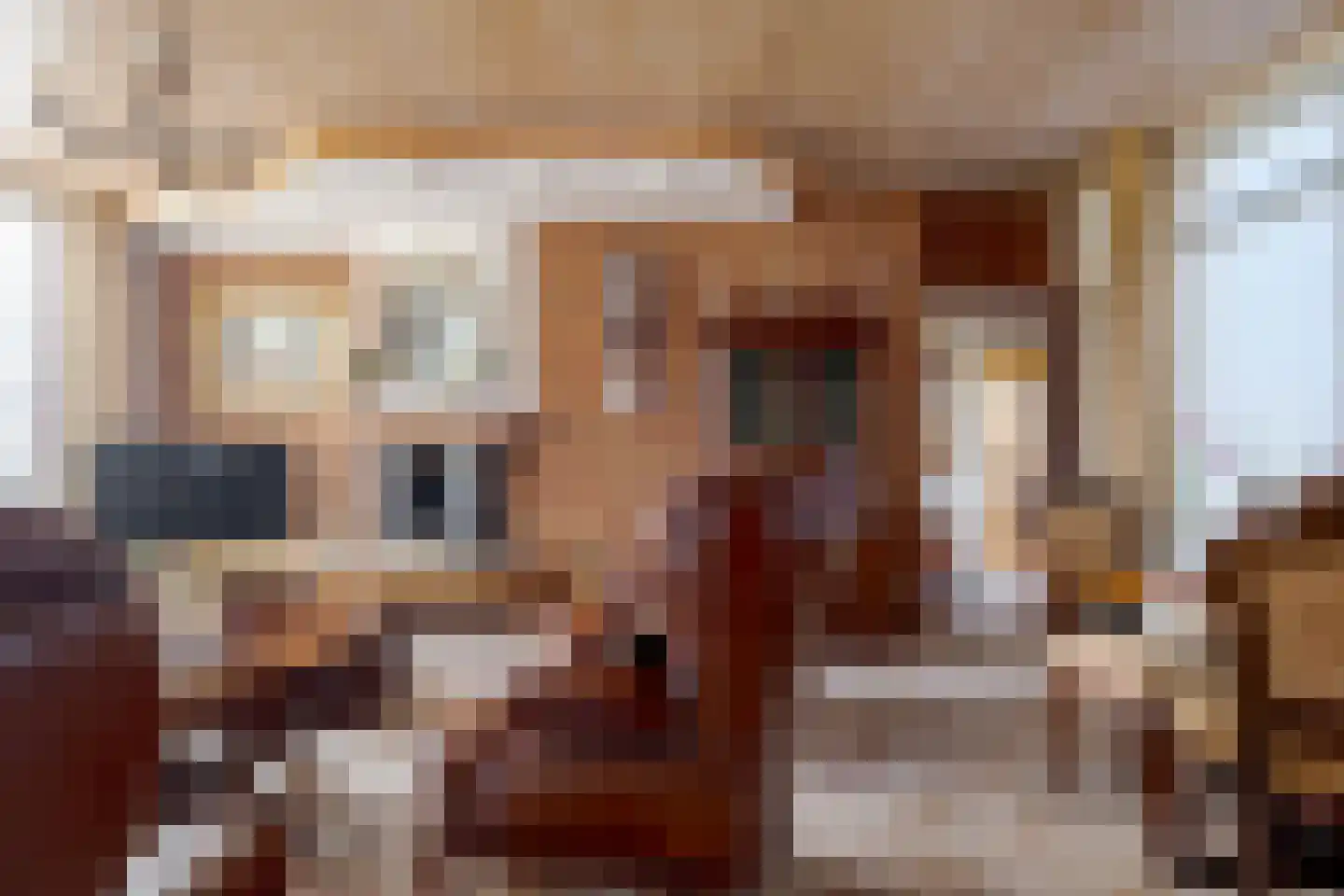 de Pol 1 Peize thumbnail 11