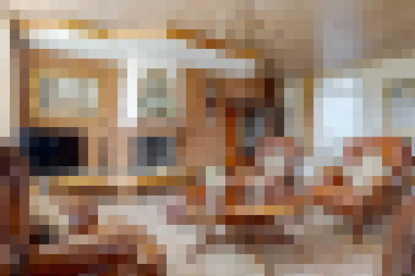 de Pol 1 Peize thumbnail 14