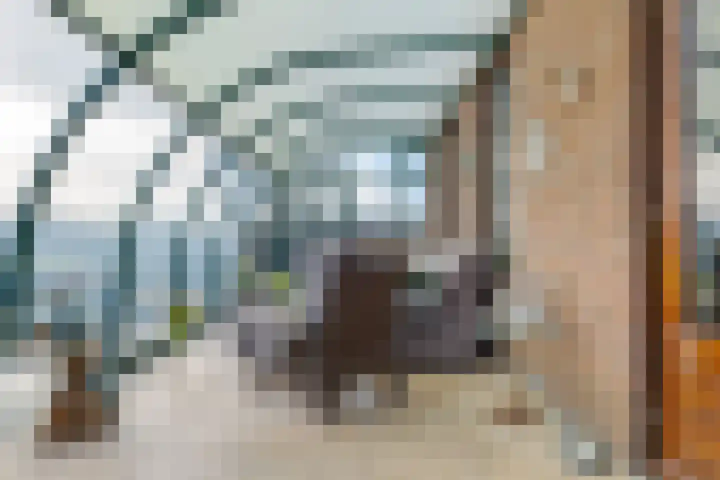 de Pol 1 Peize thumbnail 19