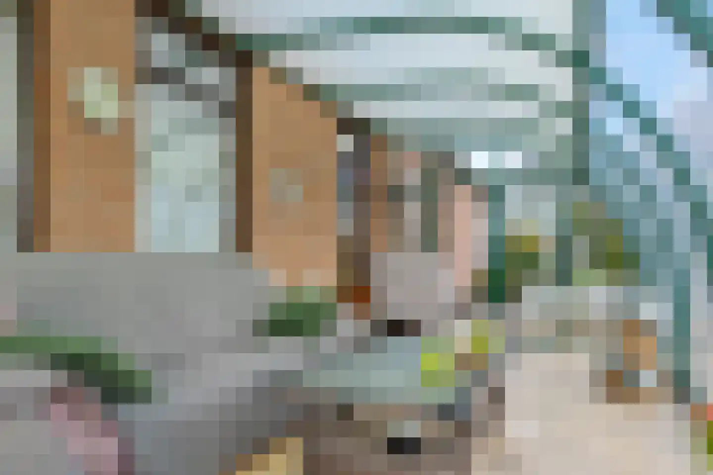 de Pol 1 Peize thumbnail 20