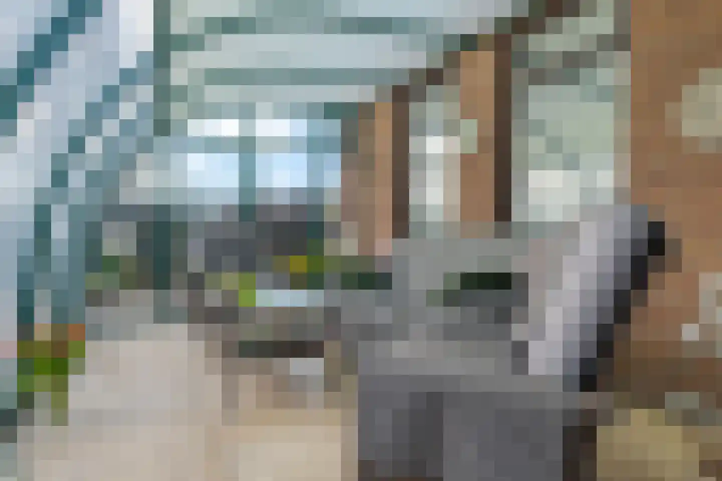 de Pol 1 Peize thumbnail 21