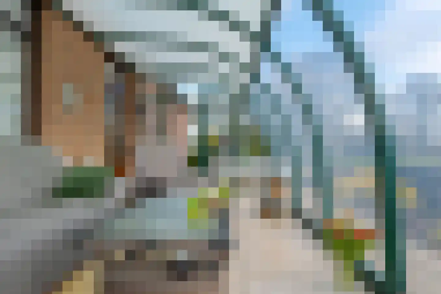 de Pol 1 Peize thumbnail 22