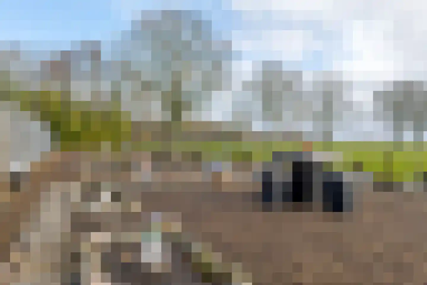 de Pol 1 Peize thumbnail 25