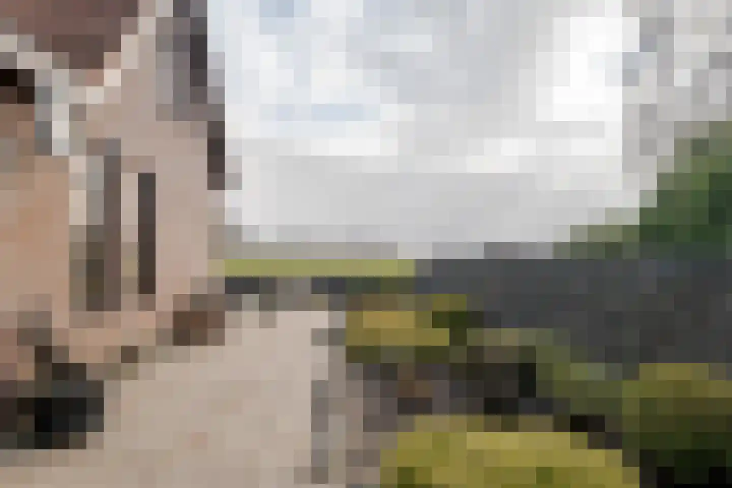 de Pol 1 Peize thumbnail 31