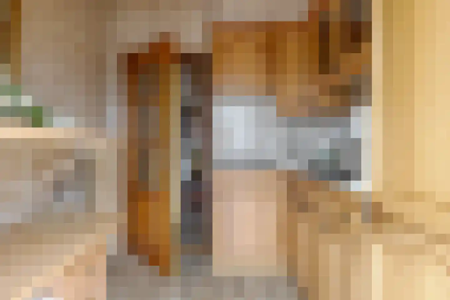 de Pol 1 Peize thumbnail 33