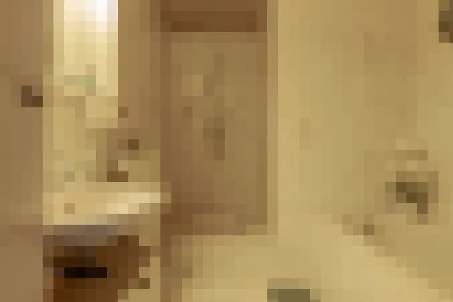 de Pol 1 Peize thumbnail 42