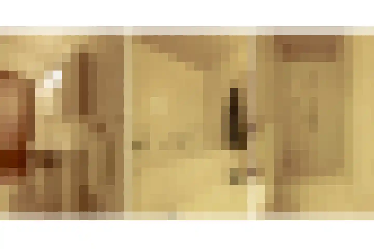 de Pol 1 Peize thumbnail 43