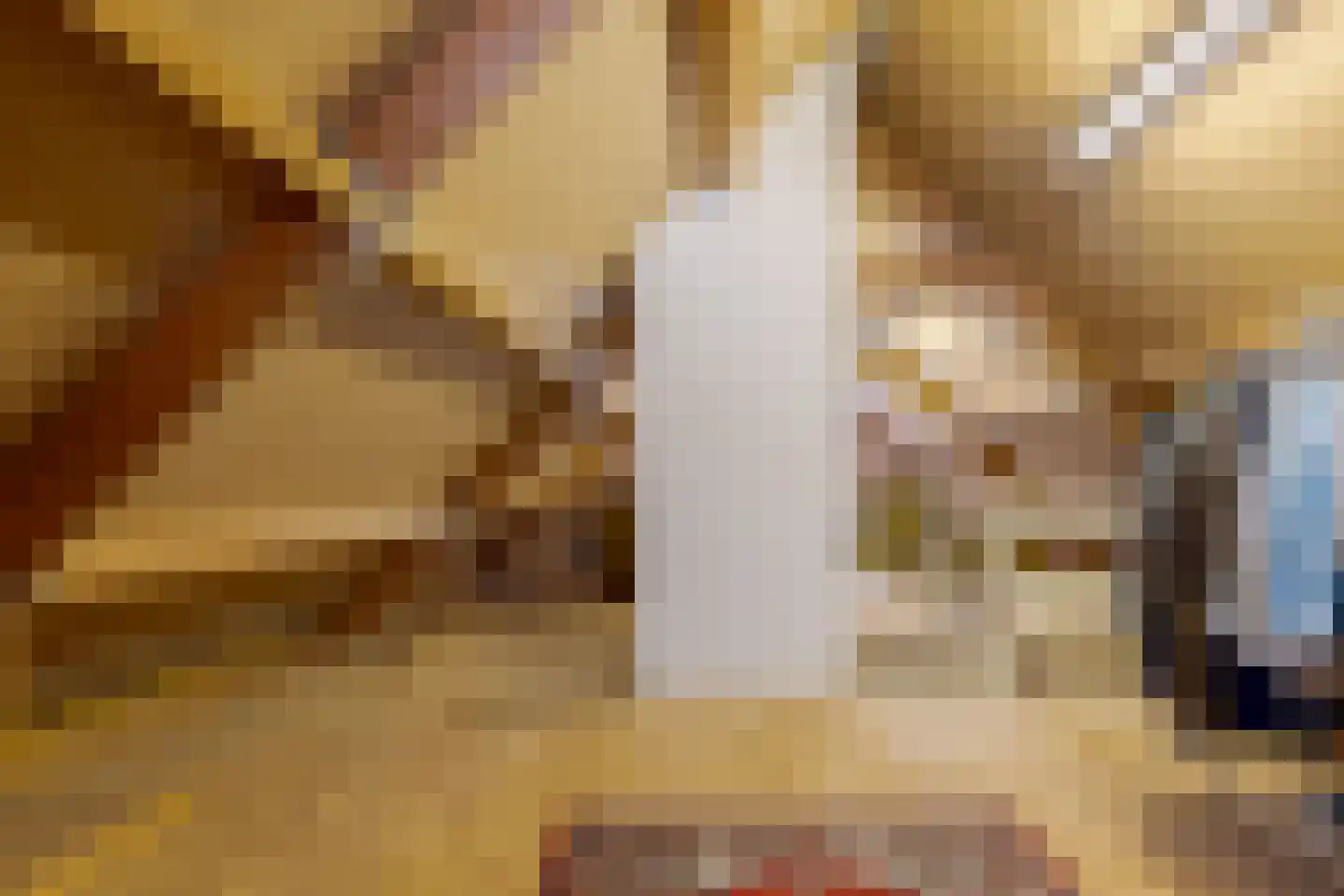 de Pol 1 Peize thumbnail 48