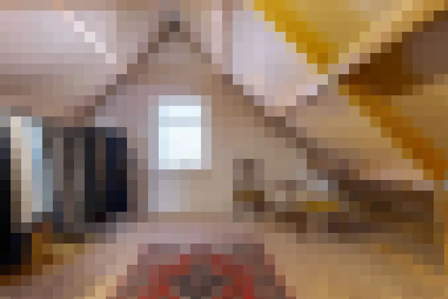 de Pol 1 Peize thumbnail 49