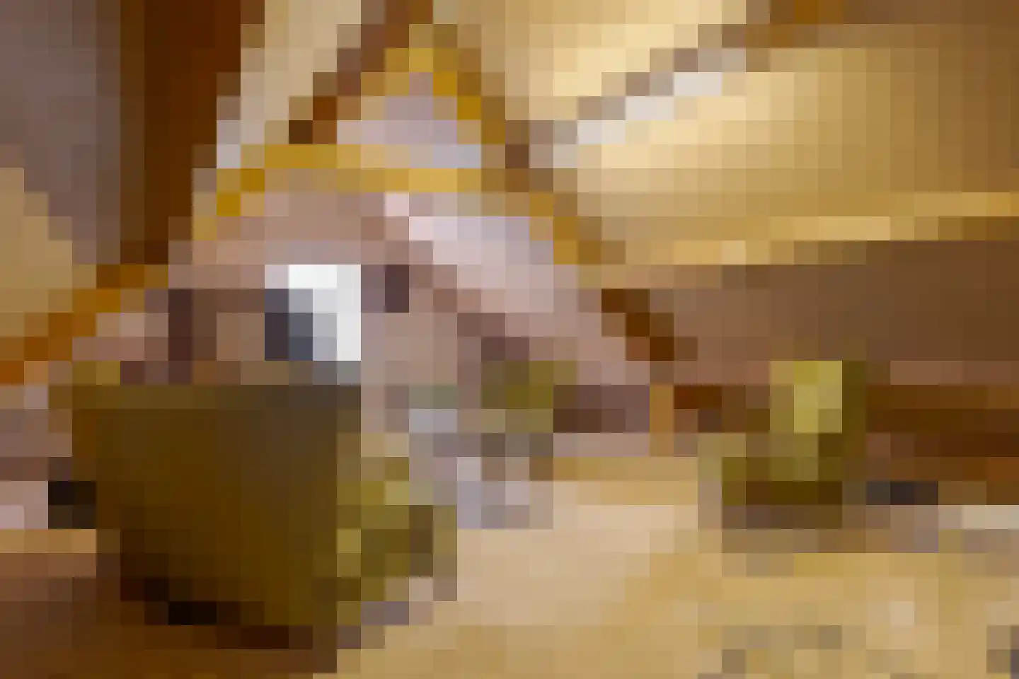 de Pol 1 Peize thumbnail 50