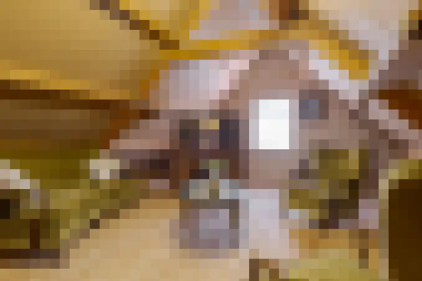 de Pol 1 Peize thumbnail 51