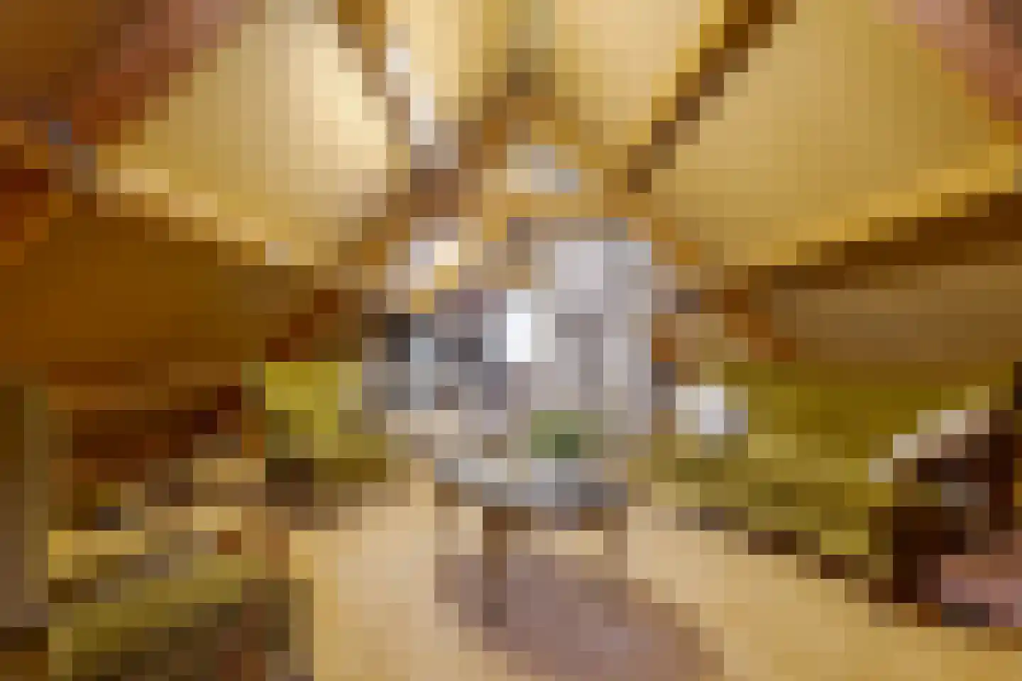 de Pol 1 Peize thumbnail 52