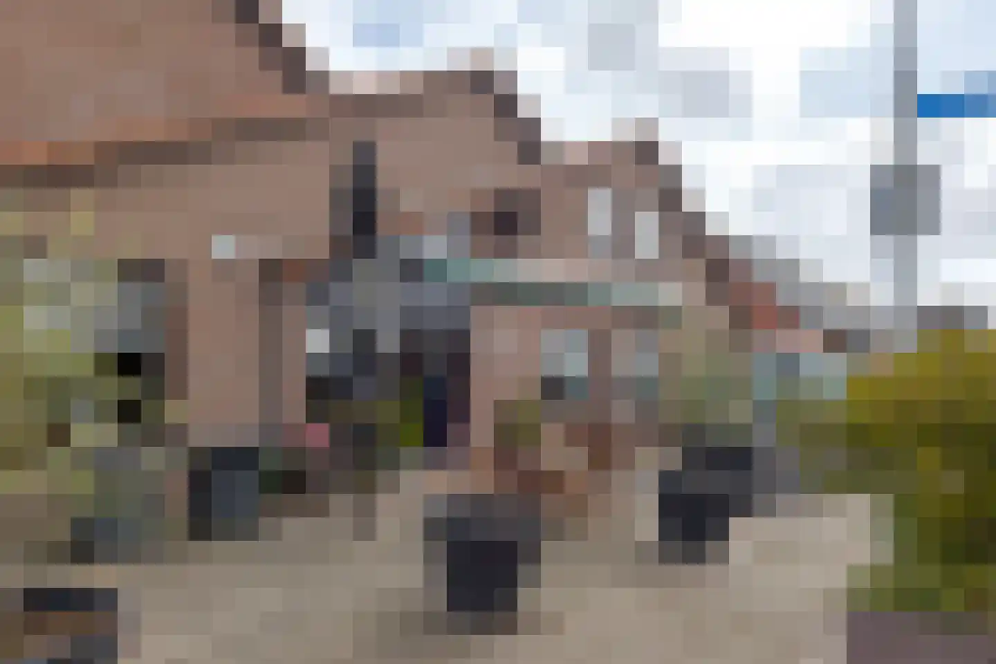 de Pol 1 Peize thumbnail 60