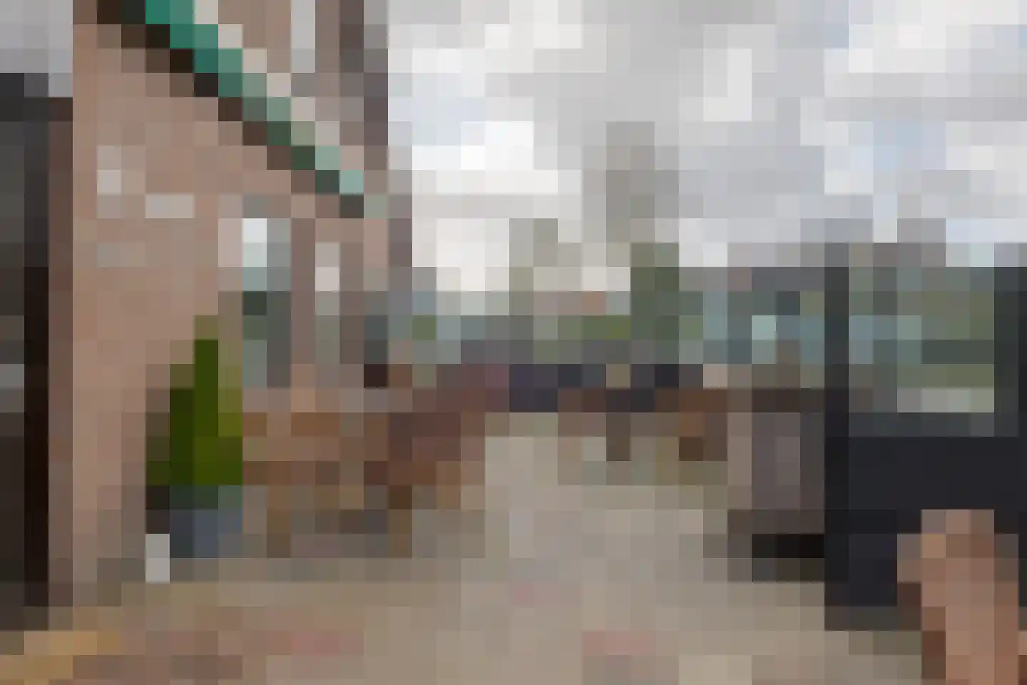 de Pol 1 Peize thumbnail 61