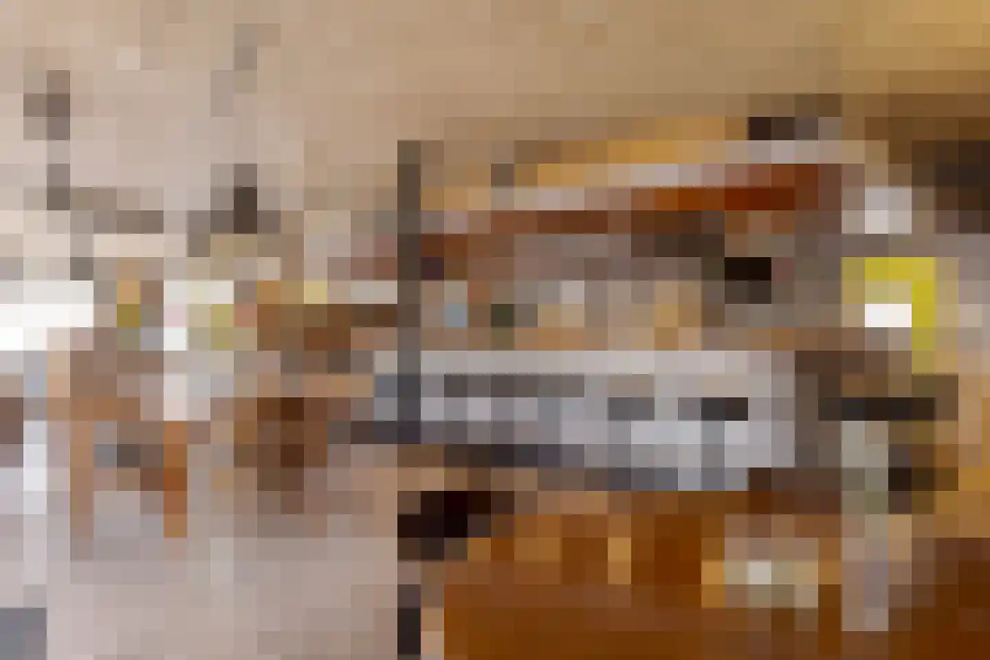 de Pol 1 Peize thumbnail 63