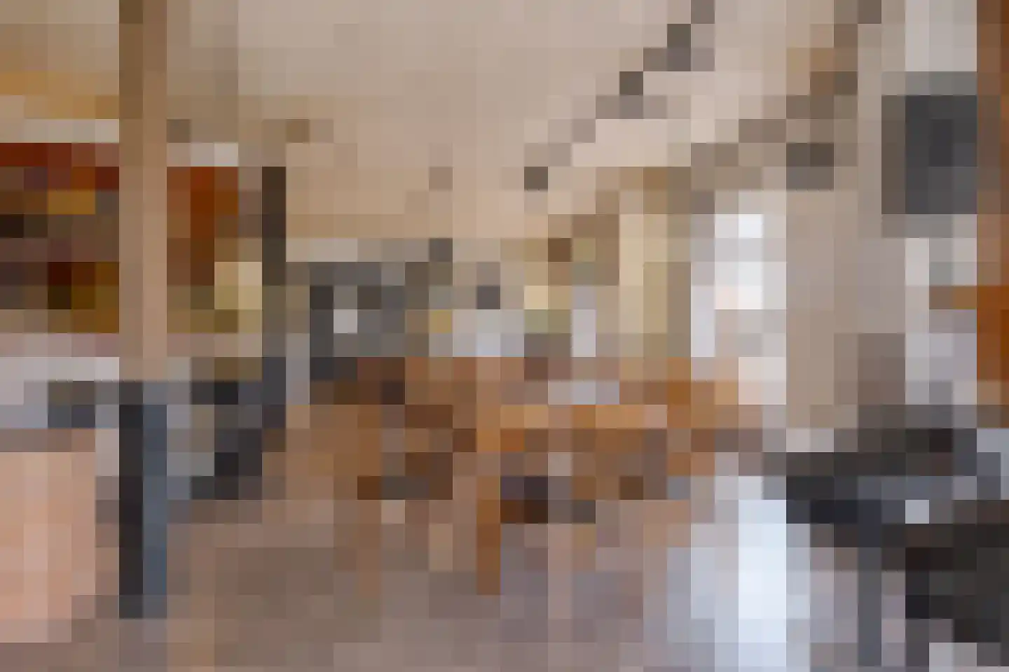 de Pol 1 Peize thumbnail 64