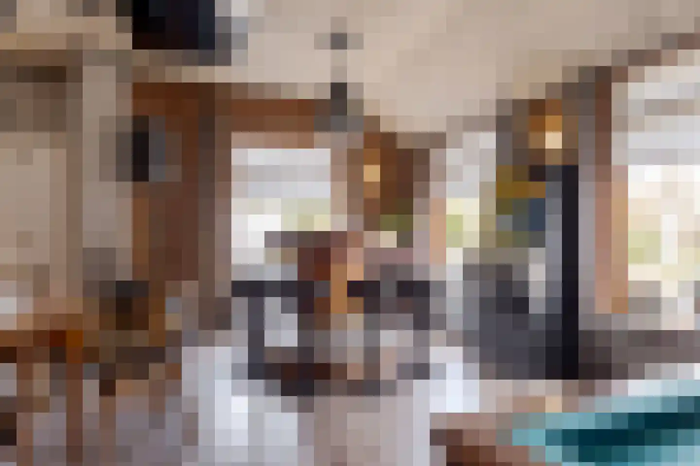 de Pol 1 Peize thumbnail 66