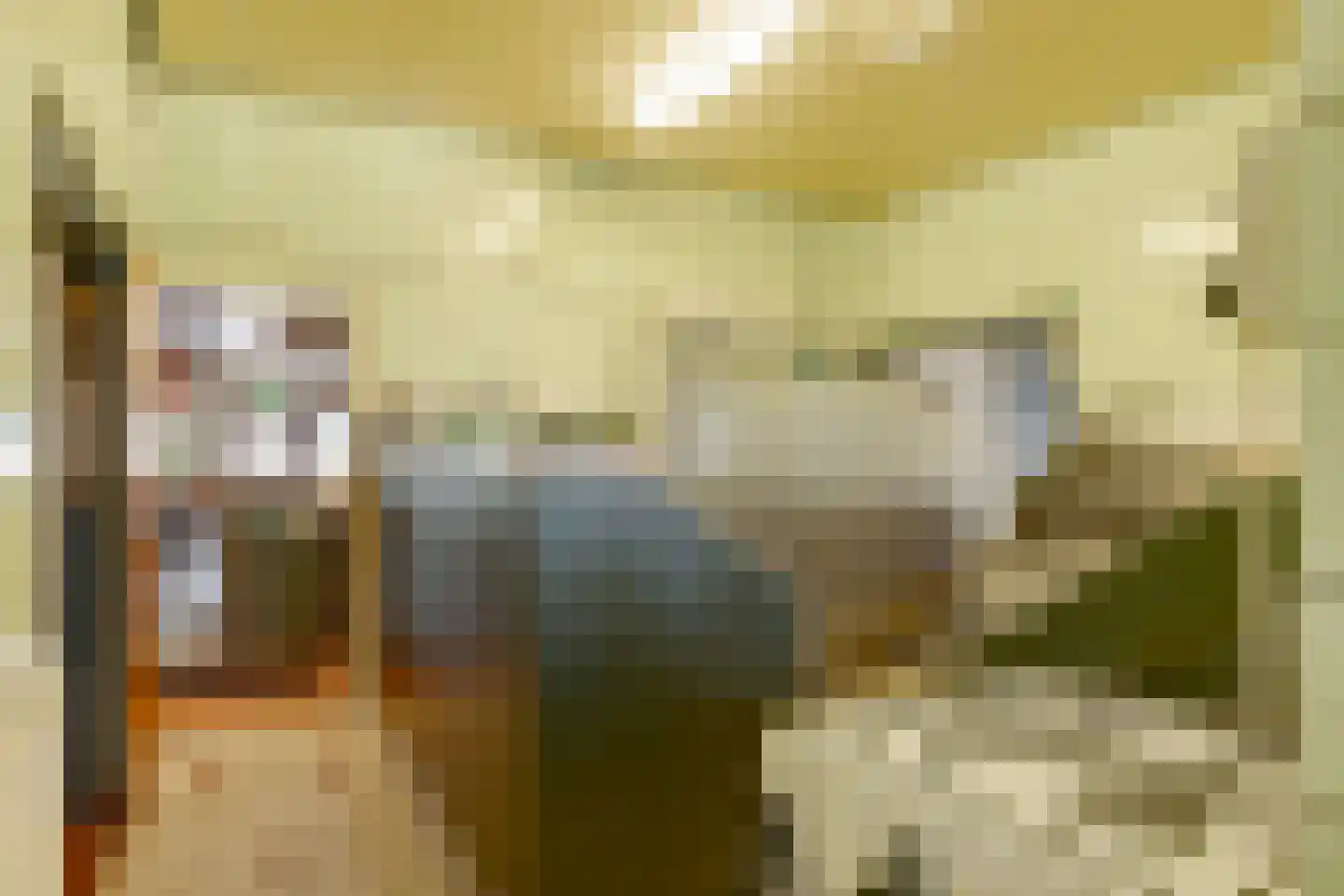 de Pol 1 Peize thumbnail 71