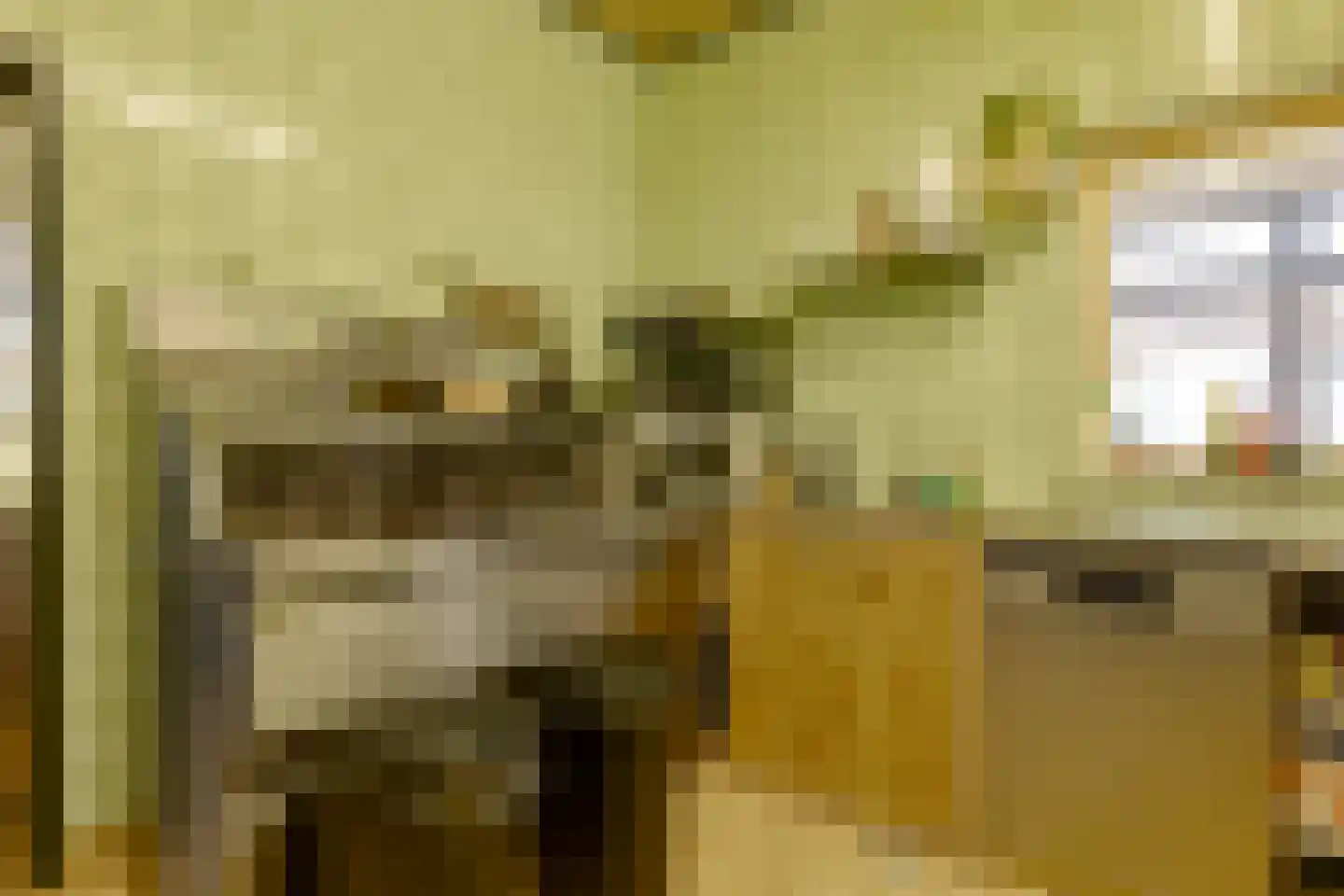 de Pol 1 Peize thumbnail 72