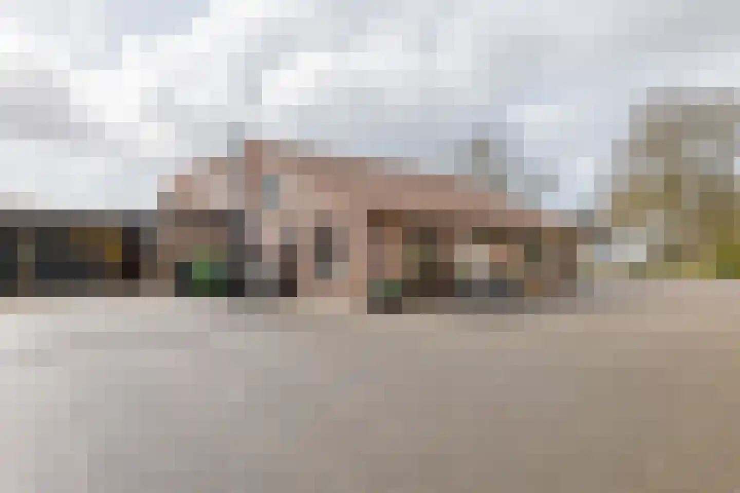 de Pol 1 Peize thumbnail 89