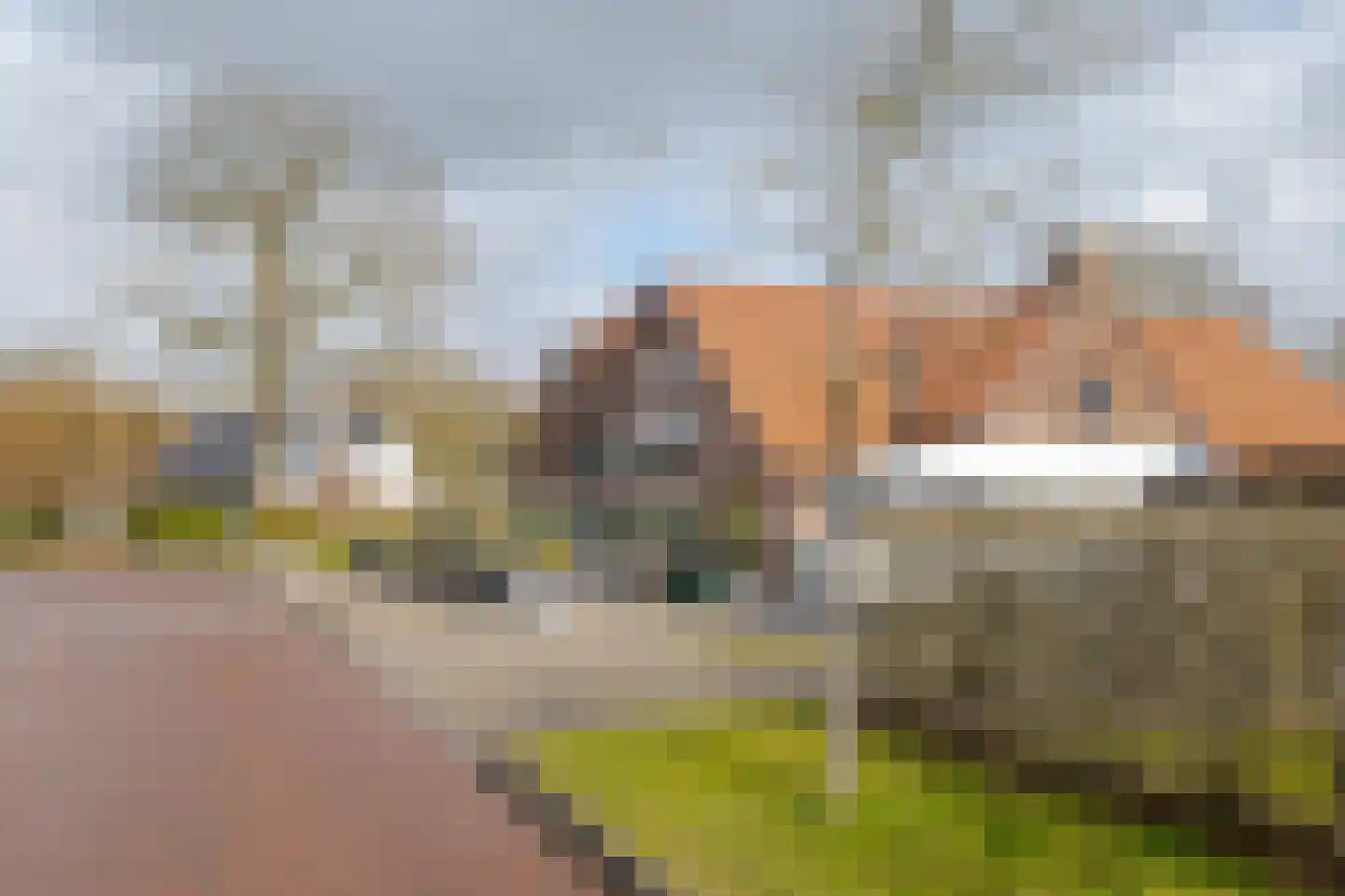 de Pol 1 Peize thumbnail 92