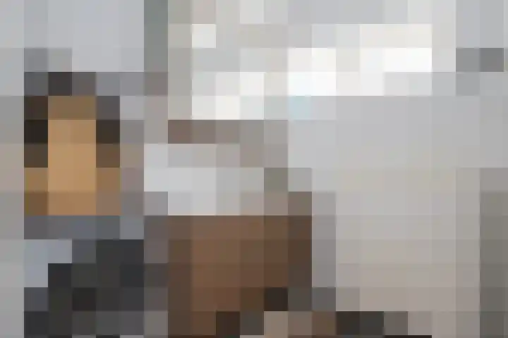 De Pol 10 Maarn thumbnail 23