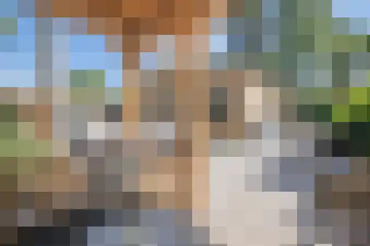 De Pol 10 Maarn thumbnail 34