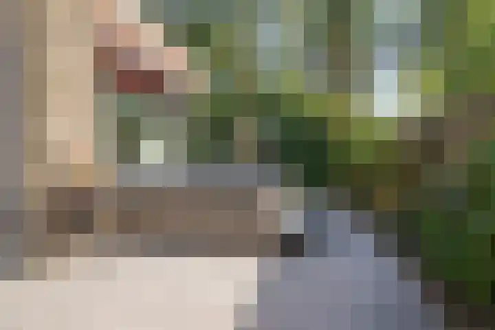 De Pol 10 Maarn thumbnail 38