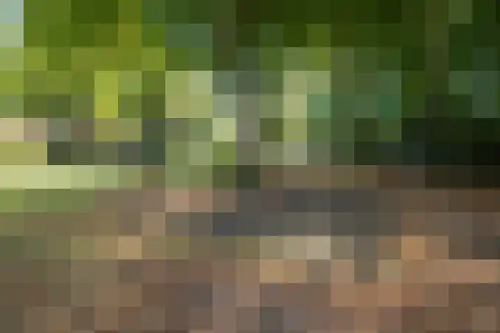 De Pol 10 Maarn thumbnail 40