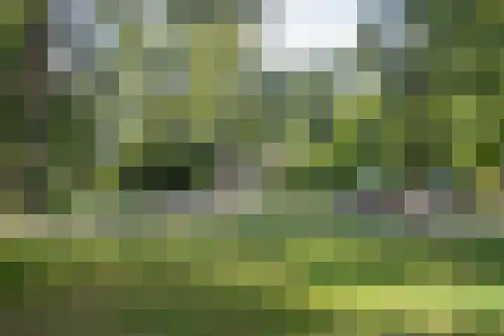 De Pol 10 Maarn thumbnail 41