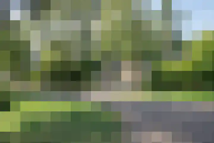 De Pol 10 Maarn thumbnail 42