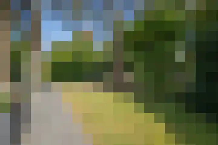 De Pol 10 Maarn thumbnail 43