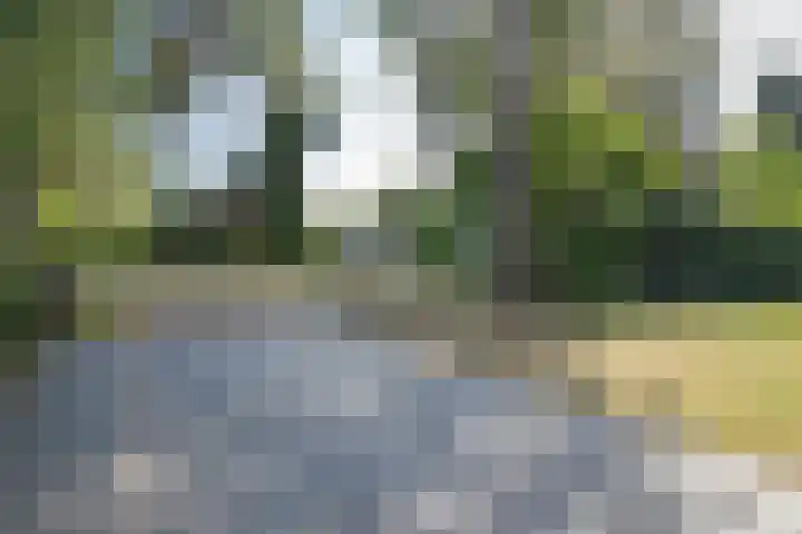 De Pol 10 Maarn thumbnail 44