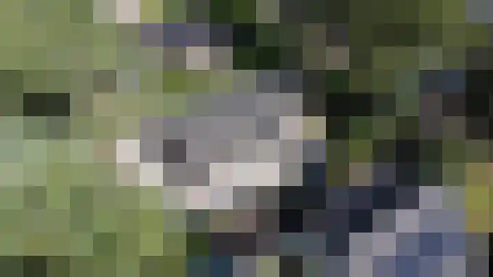De Pol 10 Maarn thumbnail 46
