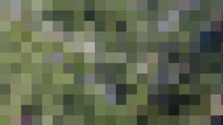De Pol 10 Maarn thumbnail 48